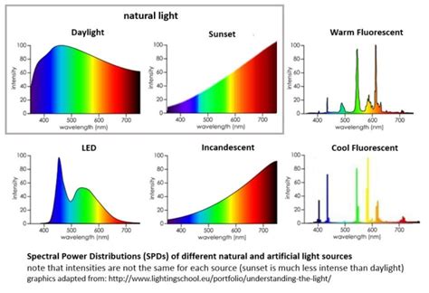 natural light versus artificial light - Sunlight Inside