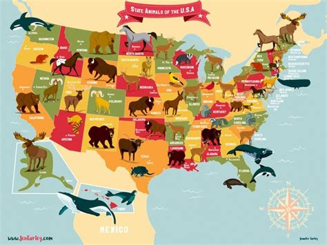 Map of USA Showing State Animals or Birds by Jennifer Farley - Light Palette | Illustrated map ...