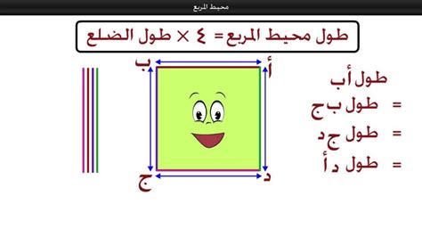 ما هو المربع - أفكار الحدائق