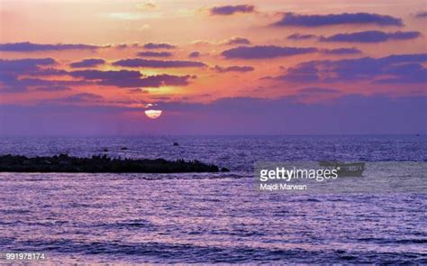 50 The Beautiful Beaches Of Gaza Stock Photos, High-Res Pictures, and ...