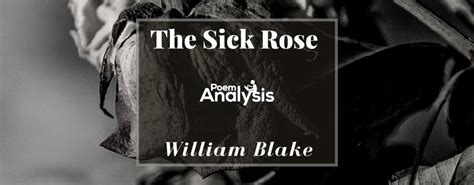 The Sick Rose by William Blake (Poem + Analysis)