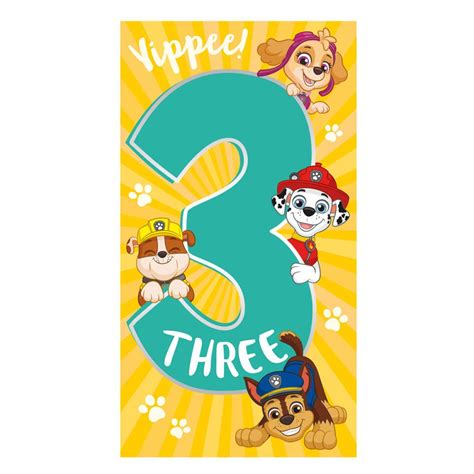 3rd Birthday Paw Patrol Birthday Card (PA082) - Character Brands