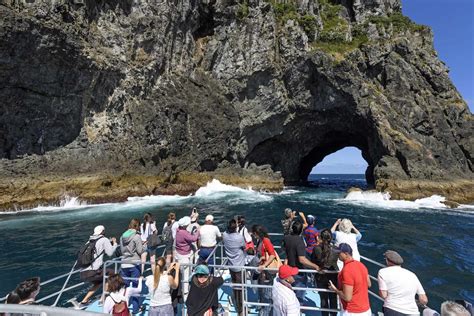 Hole in the Rock Cruise | See and Do New Zealand