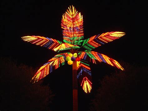 Neon palm tree goodness | Art. Korla by night is gorgeous. W… | Flickr