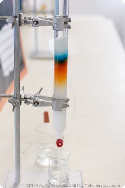 Life Science Applications of Chromatography