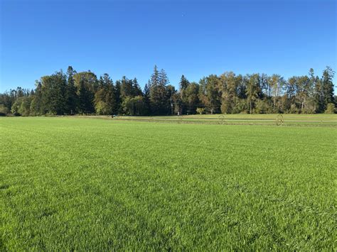 Premium Turf & Sod on Vancouver Island (Comox Valley) | River Meadow Farms