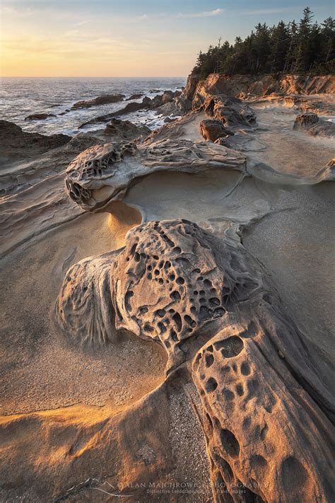 Shore Acres State Park Oregon. - Alan Majchrowicz Photography