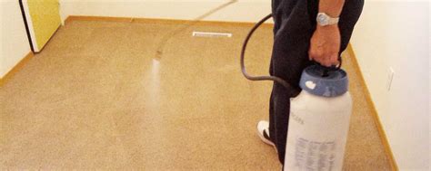 Carpet Stain Protection | Alberta Carpet Cleaning Calgary