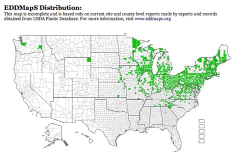 Restoring The Landscape With Native Plants: That's Invasive? Japanese ...