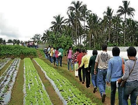 Farmlands are also for tourists | Inquirer News