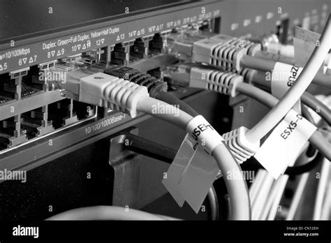 network cables connected to hub Stock Photo - Alamy