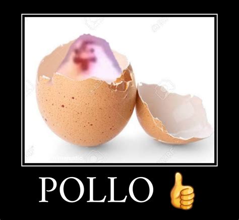 Pollo 👍 : r/memes