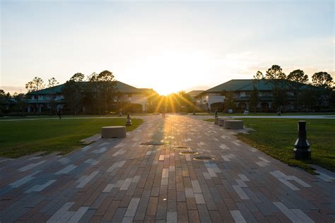 FGCU on Twitter: "Watching the sunset from the library lawn is a must!😃 ...