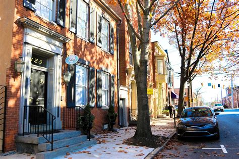 tree-lined street with shops in Frederick, MD