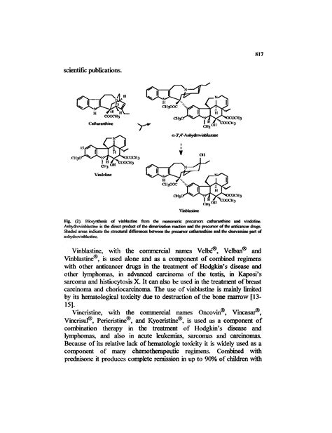 Biosynthesis of Vinblastine - Big Chemical Encyclopedia