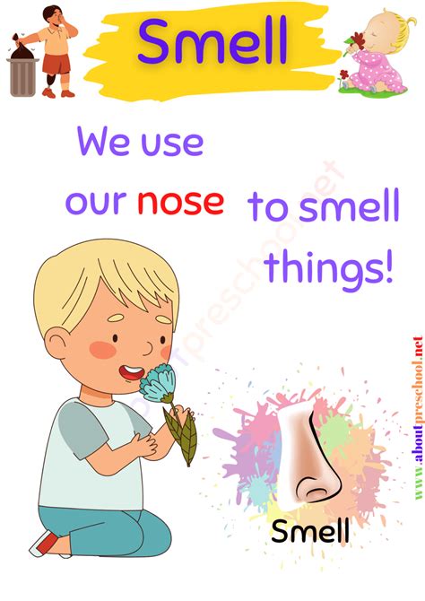 The 5 Senses-Smell - About Preschool