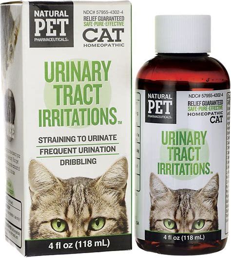 male cat uti treatment - Flourless Journal Efecto