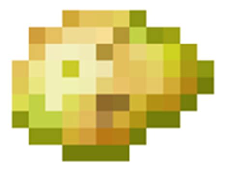 Minecraft Wiz: MINECRAFT POTATOES!