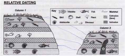 Relative Dating Of Fossils Is Based On What – Telegraph