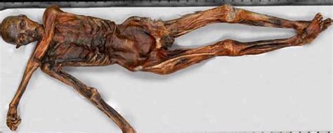 U.S. Paleoartist Presents Ötzi Mummy. Replica at Bolzano Museum