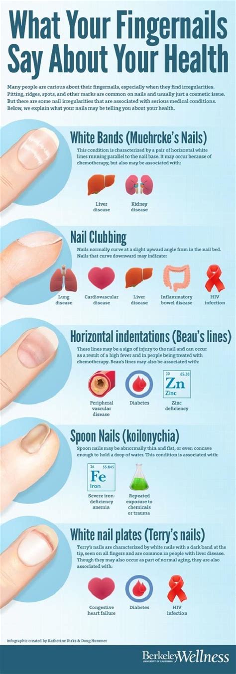 What Your Fingernails Say About Your Health | Fingernail health, Health ...