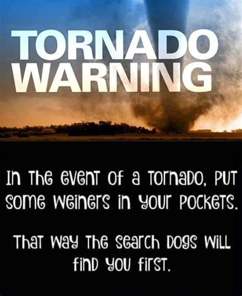 This is actually a valid idea for those of us that live in tornado ...