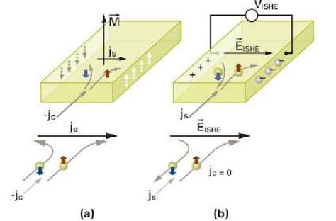 Schematic illustration of the (a) spin Hall effect (SHE) and (b)... | Download Scientific Diagram