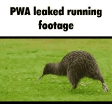 Pwa Pixel Wolf Animation Kiwi Running GIF - PWA Pixel Wolf Animation Kiwi Running - Discover ...