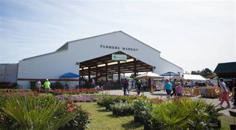 PEE DEE FARMERS MARKET | McLeod Farms