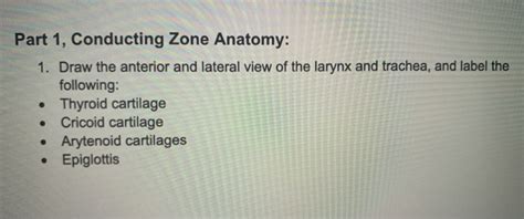 Solved Part 1, Conducting Zone Anatomy: 1. Draw the anterior | Chegg.com