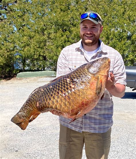 Holy carp! Three record-setting fish caught in 2022 — Waterbury Roundabout