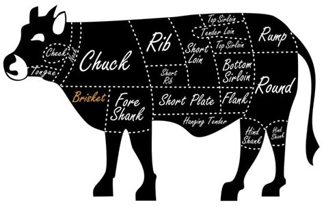 Brisket 101 - A Quick Guide to a BBQ Classic