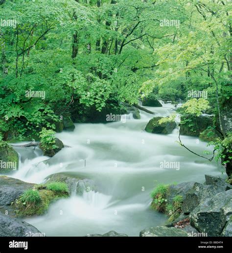 River and Woods Stock Photo - Alamy