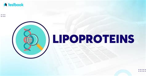 Understanding Lipoproteins: Types and Functions - Testbook.com