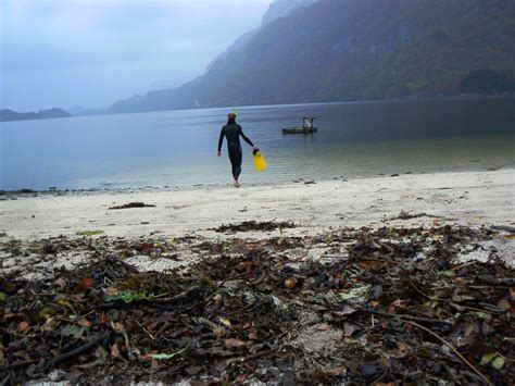 Free-diving in the deepest fjord in Norway. I... - PLACE OF ORIGIN