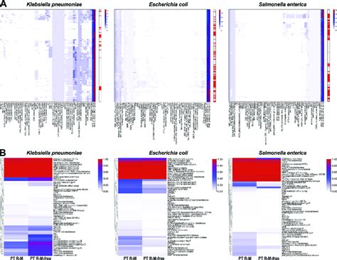 Heatmap of the distribution of the AMR gene families in the genomes.... | Download Scientific ...