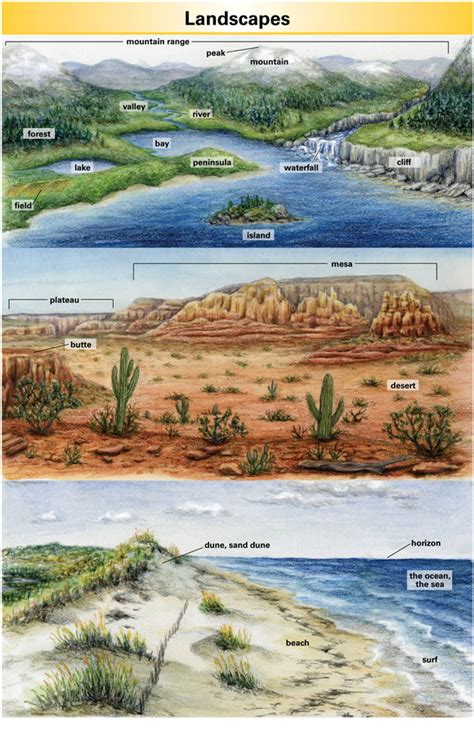 Landscape - Definition for English-Language Learners from Merriam-Webster's Learner's Dictionary