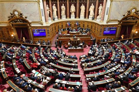 French Senate debates IVF law after thousands protest in Paris streets