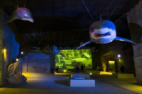 Megalodon and Dolphin Model in the Museum in the Fertorakos Quarry ...