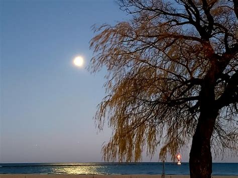 Waukegan Municipal Beach - 2021 All You Need to Know BEFORE You Go | Tours & Tickets (with ...