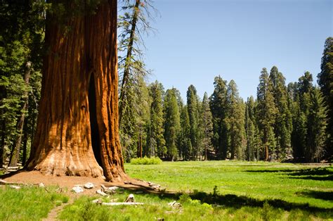 Sequoia National Park