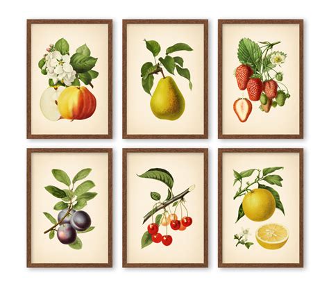 5x7'' 6 VINTAGE FRUIT Prints Botanical Art Wall Art | Etsy