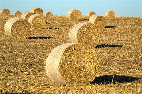 Corn Bales Photograph by Bonfire Photography