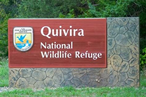 Quivira National Wildlife Refuge - BirdForum Opus | BirdForum