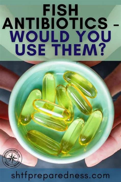 Fish Antibiotics - Would You Use Them? - SHTFPreparedness [Video] [Video] | Fish antibiotics ...