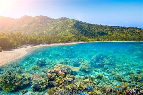 Lombok eyes more foreign tourists with family-friendly concept - Tourism Indonesia