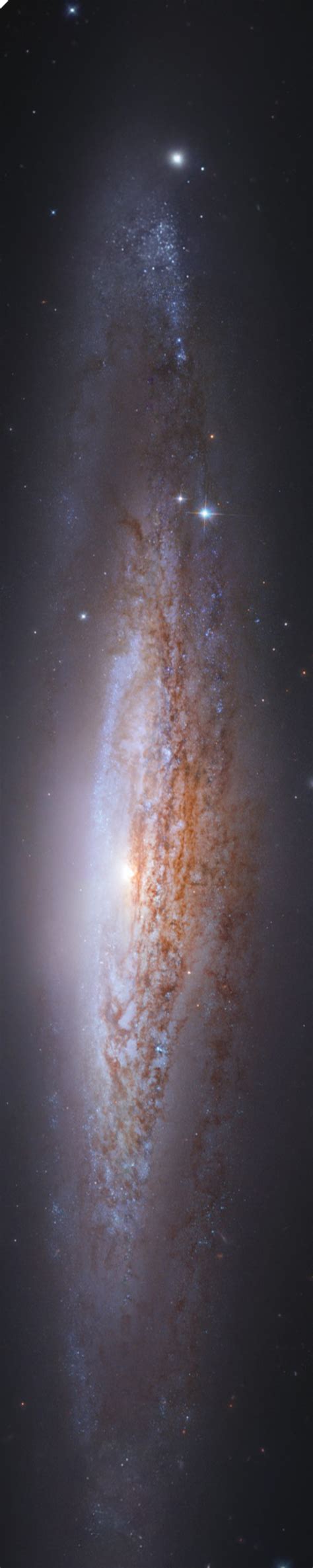 Andromeda | Space pictures, Cosmos, Andromeda galaxy