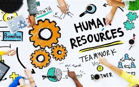 Human Resource Management — Concept & Importance | Human resource management, Human resources ...