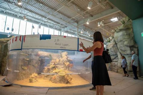 Kansas City Zoo’s new aquarium has a name. You’d never guess who it’s named after