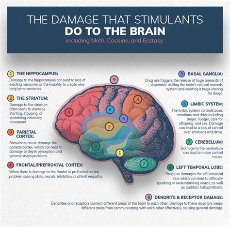 Infographics show the damage substance abuse can do to the brain - Info ...